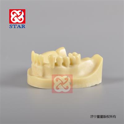 發泡下口缺失種植2028
