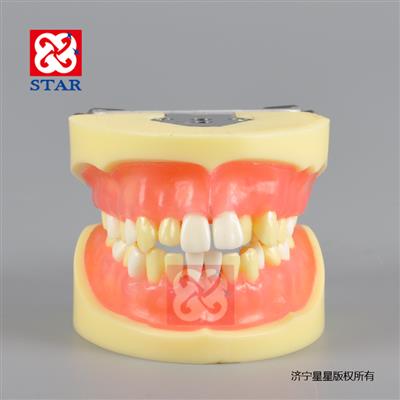 標準模型M8016