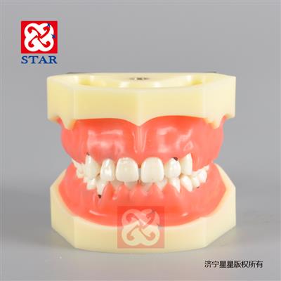 主要練習齦下刮治縫合牙齦牙齒可更換