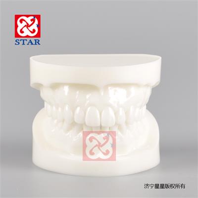 7004W標準模型白色款