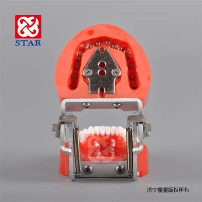 標準模型M8010