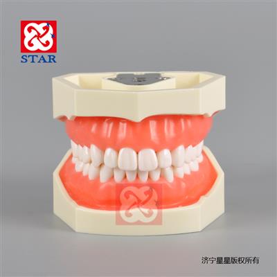 標準模型M8011