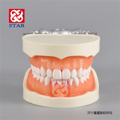 標準模型M8015